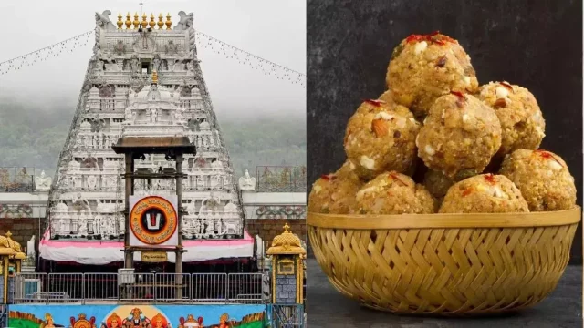 01_10_2024-01_10_2024-tirupati_ladooo_23807851