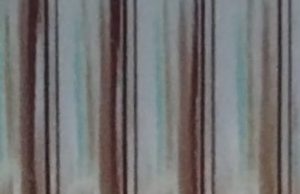 ਜਰਨਲਿਸਟ ਪ੍ਰੈੱਸ ਕਲੱਬ ਰਜਿ : ਪੰਜਾਬ ਮਾਲਵਾ ਜੋਨ ਦੇ ਚੇਅਰਮੈਨ ਜਸਵੀਰ ਸਿੰਘ ਸਿੱਧੂ ਨੂੰ ਸਦਮਾ ਭੈਣ ਪ੍ਰਮਿੰਦਰ ਕੌਰ ਦਾ ਦੇਹਾਂਤ।