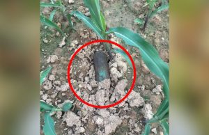 Pathankot ਦੇ ਪਿੰਡ ‘ਚੋਂ ਮਿਲੀ ਬੰਬ ਵਰਗੀ ਚੀਜ਼, ਭਾਰਤ-ਪਾਕਿ ਤਣਾਅ ਤੋਂ ਬਾਅਦ ਕਈ ਥਾਵਾਂ ‘ਤੇ ਮਿਲੇ ਬੰਬਾਂ ਦੇ ਅਵਸ਼ੇਸ਼