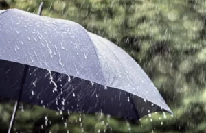 Punjab ਦੇ 8 ਜ਼ਿਲ੍ਹਿਆਂ ‘ਚ ਮੀਂਹ ਦਾ ਅਲਰਟ, ਤਾਪਮਾਨ ‘ਚ 3.6 ਡਿਗਰੀ ਦਾ ਵਾਧਾ