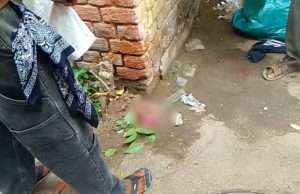 Kapurthala ਦੇ ਬੱਸ ਸਟੈਂਡ ਪਰਿਸਰ ਚੋਂ ਮਿਲਿਆ ਮਨੁੱਖੀ ਭਰੂਣ, ਸੁੱਟਣ ਵਾਲਿਆਂ ਦੀ ਭਾਲ ਜਾਰੀ