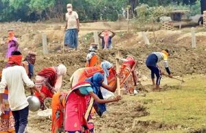 90 ਦਿਨਾਂ ਤੋਂ ਵੱਧ ਕੰਮ ਕਰ ਚੁੱਕੇ ਮਨਰੇਗਾ ਕਾਮਿਆਂ ਨੂੰ ਮਿਲਣਗੇ ਸਾਰੇ ਲਾਭ, ਪੰਜਾਬ ਸਰਕਾਰ ਨੇ ਕੀਤਾ ਐਲਾਨ