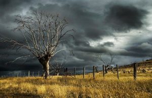 Punjab ‘ਚ ਅੱਜ ਕੋਈ ਅਲਰਟ ਨਹੀਂ, ਕੱਲ੍ਹ ਬਦਲੇਗਾ ਮੌਸਮ; ਅਗਸਤ ਮਹੀਨੇ ਸੁਸਤ ਹੋਇਆ ਮੌਨਸੂਨ