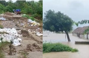 ਜਲੰਧਰ ਸਮੇਤ ਇਨ੍ਹਾਂ ਜ਼ਿਲ੍ਹਿਆਂ ‘ਚ ਸਕੂਲ ਰਹਿਣਗੇ ਬੰਦ, ਭਾਰੀ ਮੀਂਹ ਦੇ ਚੱਲਦੇ ਫੈਸਲਾ