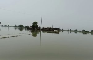 Punjab Flood: ਪੰਜਾਬ ‘ਚ ਹੜ੍ਹ ਨਾਲ ਪਾਵਰਕਾਮ ਨੂੰ ਭਾਰੀ ਝਟਕਾ, 102 ਕਰੋੜ ਦੇ ਕਰੀਬ ਸਪਲਾਈ ਨੈੱਟਵਰਕ ਨੂੰ ਨੁਕਸਾਨ