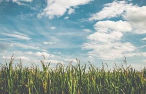 Punjab ‘ਚ ਅੱਜ ਸਾਫ਼ ਰਹੇਗਾ ਮੌਸਮ, 14 ਸਤੰਬਰ ਤੱਕ ਕੋਈ ਅਲਰਟ ਨਹੀਂ, ਰਾਹਤ ਕਾਰਜਾਂ ‘ਚ ਆਈ ਤੇਜ਼ੀ