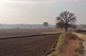Punjab ਦੇ ਮੌਸਮ ‘ਚ ਕੋਈ ਖਾਸ ਬਦਲਾਅ ਨਹੀਂ, ਮੀਂਹ ਤੇ ਧੁੰਦ ਦੀ ਸੰਭਾਵਨਾ ਘੱਟ
