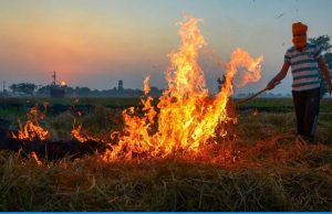 Haryana ਅਤੇ Punjab ਵਿੱਚ ਪਰਾਲੀ ਸਾੜਨ ਦੇ ਮਾਮਲਿਆਂ ਵਿੱਚ ਕਮੀ, Madhya Pradesh ਪਹਿਲੇ ਸਥਾਨ ‘ਤੇ… ICAR ਰਿਪੋਰਟ ਵਿੱਚ ਖੁਲਾਸਾ