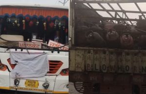 Jalandhar ‘ਚ ਧੁੰਦ ਦਾ ਕਹਿਰ, ਲੋਅ-ਵਿਜ਼ੀਬਿਲਟੀ ਕਾਰਨ ਟਰੱਕ ਤੇ ਦੋ ਬੱਸਾਂ ਟਕਰਾਈਆਂ