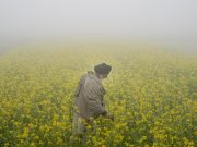 Punjab: ਅੱਜ ਵੀ ਧੁੰਦ ਤੋਂ ਕੋਈ ਰਾਹਤ ਨਹੀਂ, ਅਲਰਟ ਜਾਰੀ; ਘੱਟੋ-ਘੱਟ ਤਾਪਮਾਨ 2.4 ਡਿਗਰੀ ਰਿਹਾ