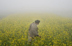 Punjab: ਅੱਜ ਵੀ ਧੁੰਦ ਤੋਂ ਕੋਈ ਰਾਹਤ ਨਹੀਂ, ਅਲਰਟ ਜਾਰੀ; ਘੱਟੋ-ਘੱਟ ਤਾਪਮਾਨ 2.4 ਡਿਗਰੀ ਰਿਹਾ