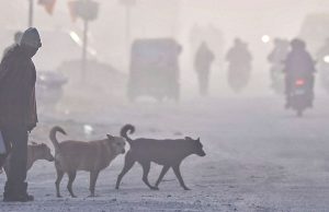 Punjab ‘ਚ ਦੋ ਦਿਨ ਸੰਘਣੇ ਕੋਹਰੇ ਤੇ ਸ਼ੀਤ ਲਹਿਰ ਲਈ ਯੈਲੋ ਅਲਰਟ, 10 ਜ਼ਿਲ੍ਹਿਆਂ ਵਿੱਚ ਠੰਡ ਬਰਸਾਏਗੀ ਕਹਿਰ