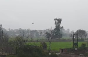 ਆਈ ਬਸੰਤ ਲਿਆਈ ਠੰਡ! ਪੰਜਾਬ ‘ਚ ਮੌਸਮ ਨੇ ਲਈ ਕਰਵਟ, ਪਤੰਗਬਾਜ਼ੀ ਦਾ ਮਜ਼ਾ ਕਿਰਕਿਰਾ