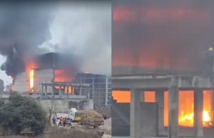 Jalandhar‘ਚ ਕੋਲਡ ਸਟੋਰੇਜ ਨੂੰ ਲੱਗੀ ਭਿਆਨਕ ਅੱਗ, ਲੱਖਾਂ ਦਾ ਨੁਕਸਾਨ; 10 ਫਾਇਰ ਬ੍ਰਿਗੇਡ ਦੀਆਂ ਗੱਡੀਆਂ ਨੇ ਪਾਇਆ ਕਾਬੂ