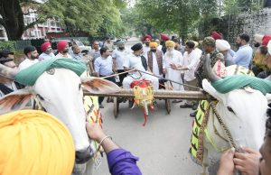 ਕਿਲਾ ਰਾਏਪੁਰ ‘ਚ ਬਲਦਾਂ ਦੀ ਦੌੜ ਦੀ ਵਾਪਸੀ! Ludhiana ਦੇ DC ਨੇ ਦਿੱਤੀ ਜਾਣਕਾਰੀ