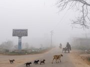 Punjab Weather: ਪੰਜਾਬ ਭਰ ‘ਚ ਧੁੰਦ ਦਾ ਅਲਰਟ, 8 ਜ਼ਿਲ੍ਹਿਆਂ ‘ਚ ਚਲੇਗੀ ਸੀਤ ਲਹਿਰ, ਘੱਟੋ-ਘੱਟ ਤਾਪਮਾਨ 1.6 ਡਿਗਰੀ ਤੱਕ ਪਹੁੰਚਿਆ
