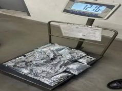 Ludhiana‘ਚ ਕੋਰੀਅਰ ਦਫ਼ਤਰ ‘ਤੇ DRI ਦਾ ਛਾਪਾ, ਅਮਰੀਕਾ ਤੇ ਕੈਨੇਡਾ ਜਾਣ ਵਾਲੇ 7 ਪਾਰਸਲਾਂ ‘ਚ ਮਿਲੀ ਅਫੀਮ