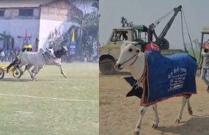 Ludhiana ‘ਚ 11 ਸਾਲ ਬਾਅਦ ਦੌੜੀਆਂ ਬੈਲ ਗੱਡੀਆਂ, ਪਹਿਲੇ ਰਾਊਂਡ ‘ਚ 28 ਵਿਚਾਲੇ ਹੋਇਆ ਮੁਕਾਬਲਾ