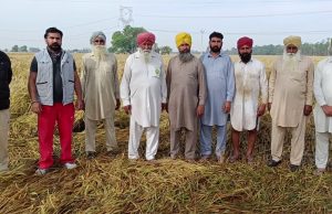 ਬੇਮੌਸਮੀ ਬਰਸਾਤ ਨਾਲ 1.25 ਲੱਖ ਏਕੜ ਤੋਂ ਵੱਧ ਫਸਲ ਦਾ ਨੁਕਸਾਨ, ਵਿਸ਼ੇਸ਼ ਗਿਰਦਾਵਰੀ ਲਈ 500 ਕਰਮਚਾਰੀ ਤੈਨਾਤ