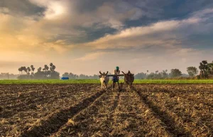 Punjab Weather: ਪੰਜਾਬ ‘ਚ ਅੱਜ ਮੌਸਮ ਰਹੇਗਾ ਖੁਸ਼ਕ, ਔਸਤ ਵੱਧੋ-ਵੱਧ ਤਾਪਮਾਨ ‘ਚ ਵਾਧਾ