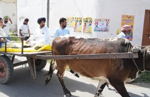 ਗੱਡੇ ‘ਤੇ ਵੋਟ ਪਾਉਣ ਪਹੁੰਚੇ Raja Warring, ਤੇਲ ਦੇ ਰੇਟਾਂ ਖਿਲਾਫ਼ ਮੋਦੀ ਸਰਕਾਰ ਖਿਲਾਫ਼ ਪ੍ਰਦਰਸ਼ਨ
