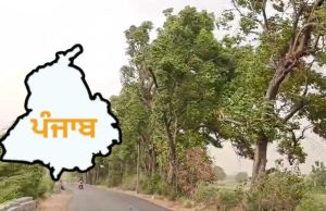ਪੰਜਾਬ ਦੇ 14 ਜ਼ਿਲ੍ਹਿਆਂ ‘ਚ ਝੱਖੜ ਦਾ ਅਲਰਟ, ਬਾਰਿਸ਼ ਦੀ ਵੀ ਭਵਿੱਖਬਾਣੀ; ਜਾਣੋ ਮੌਸਮ ਦਾ ਹਾਲ