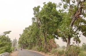 Punjab ‘ਚ ਅੱਜ ਵੀ ਹਨੇਰੀ-ਤੂਫ਼ਾਨ ਦਾ ਅਲਰਟ ਤੇ ਬਾਰਿਸ਼ ਦੀ ਭਵਿੱਖਬਾਣੀ, ਜਾਣੋ ਕਿੰਨਾ ਰਿਹਾ ਤਾਪਮਾਨ