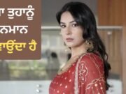 Shehnaaz Gill ਦਾ ਖੁਲਾਸਾ, ਮੁਫ਼ਤ ‘ਚ ਕੰਮ ਕੀਤਾ, ਫਿਰ ਵੀ ਨਹੀਂ ਮਿਲਿਆ ਸਨਮਾਨ
