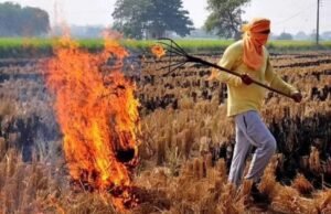 ਪਰਾਲੀ ਸਾੜਨ ਵਾਲਿਆਂ ਲਈ ਨਵੇਂ ਨਿਯਮਾਂ ਦਾ ਮਸੌਦਾ: 30 ਹਜ਼ਾਰ ਤੱਕ ਜ਼ੁਰਮਾਨਾ, 15 ਮਹੀਨੇ ਤੱਕ ਜ਼ਮੀਨ ਦੇ ਰਿਕਾਰਡ ‘ਚ ਰਹੇਗੀ ਰੈੱਡ ਐਂਟਰੀ