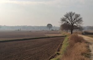 Punjab ‘ਚ ਅੱਜ ਮੌਸਮ ਰਹੇਗਾ ਸਾਫ਼, ਦੱਖਣ-ਪੱਛਮੀ ਮੌਨਸੂਨ ਦੀ ਵਾਪਸੀ ਜਾਰੀ