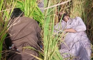 Tarn Taran Border ‘ਤੇ ਪਾਕਿਸਤਾਨੀ ਘੁਸਪੈਠ ਦੀ ਕੋਸ਼ਿਸ਼ ਨਾਕਾਮ, BSF ਨੇ 2 ਘੁਸਪੈਠੀਆਂ ਨੂੰ ਮਾਰ ਗਿਰਾਇਆ